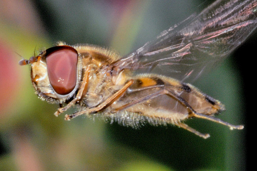 Queste vi consiglio proprio di guardarle!